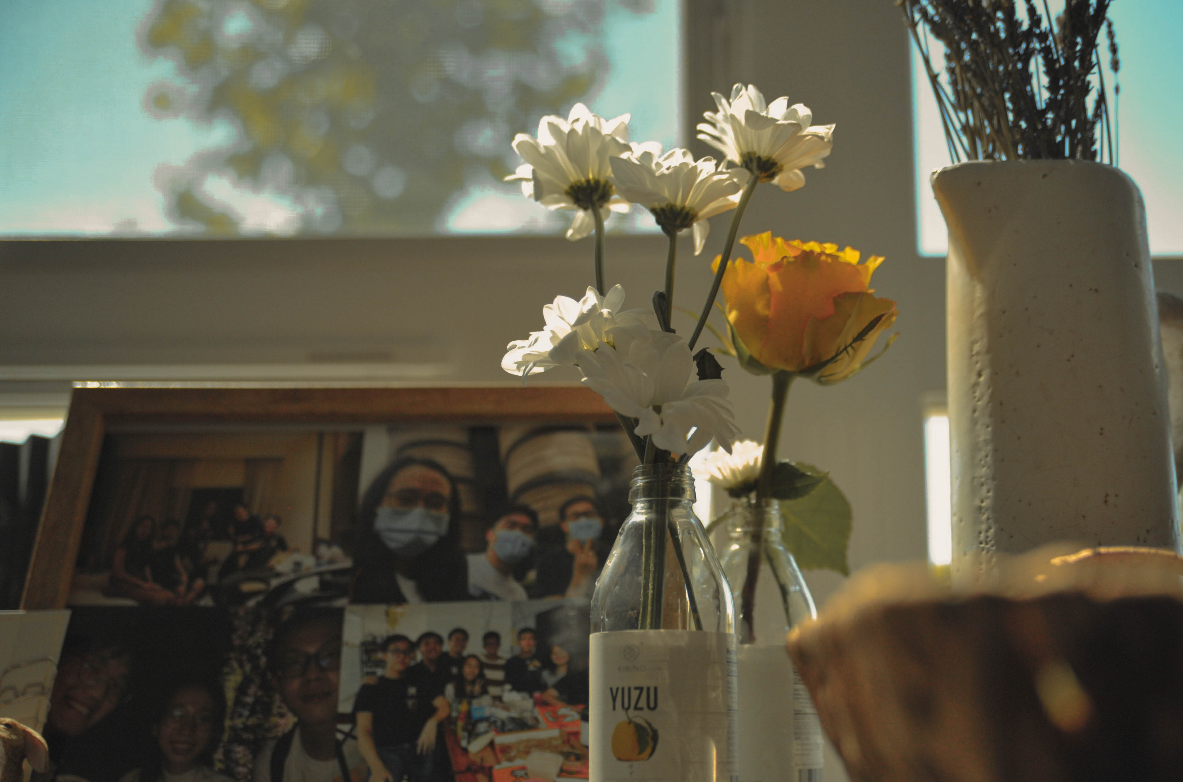 Gallery photograph
